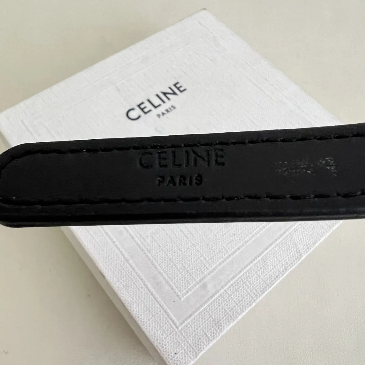 Celine Style Accessories Lookbook Reference image 6
