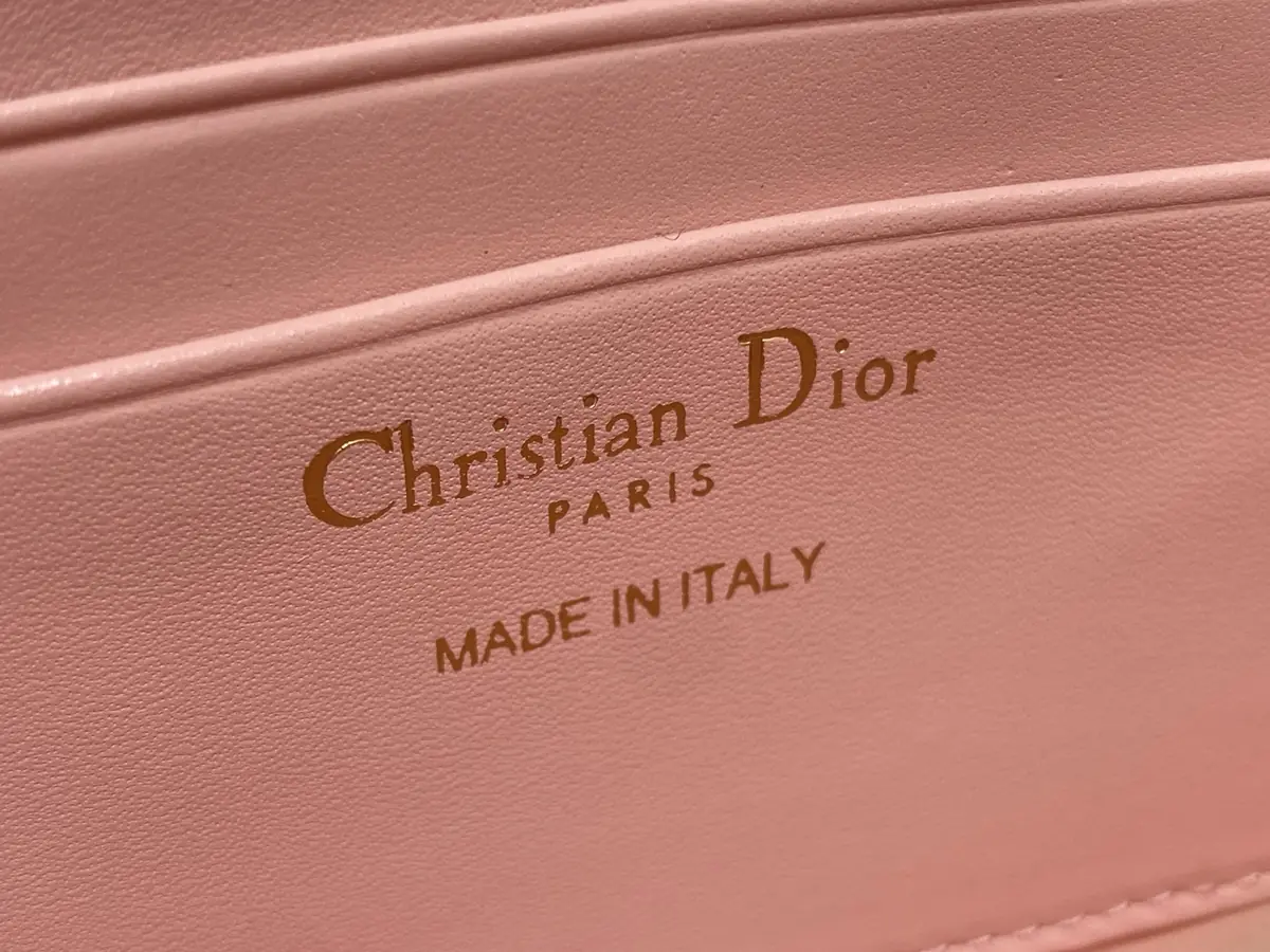 Dior Style Red Leather Card Holder Lookbook Reference image 9
